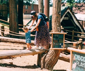 Balance on Black Bear's Bridge at SkyPark. Photo courtesy of SkyPark at Santa’s Village