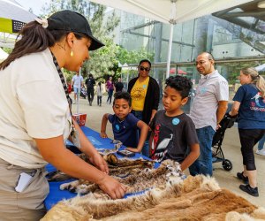 Celebrate Earth Day with science and nature. Photo courtesy of the Natural History Museum of LA County