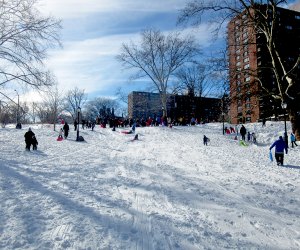 Central Park has some great hills for a fast ride. Photo by Jody Mercier