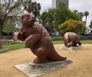 Why You Should Visit LACMA: Say hi to the Sloths