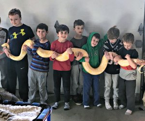 Let the New England Reptile Show prove snakes can make fun party animals! Photo by author