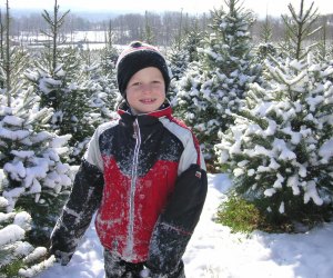 Find the perfect tree for your family at Snickers Gap Tree Farm. Photo courtesy of the farm