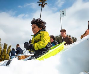 Go sledding at the Santa Barbara Zoo! Event photo courtesy of the Snow Leopard Festival in Santa Barbara