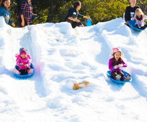 There's always snow at the Snow Leopard Festival. Photo courtesy of the Santa Barbara Zoo