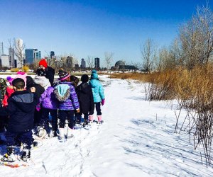 Snowtrekking in the Nature Sanctuary at Burnham Park . Photo courtesy of the Chicago Park District