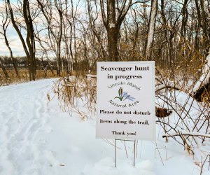 Explore Lincoln Marsh during the Snowflake Scavenger Hunt. Photo courtesy of Discover Dupage