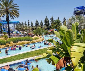 Knott's Soak City: How to Have the Best Day with Your Kids - Posh in  Progress