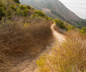 Things To Do With LA Kids Over Spring Break: Take a Hike in LA!