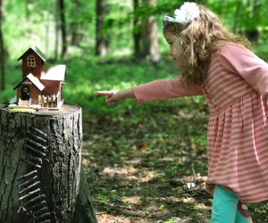 South Mountain Fairy Trail