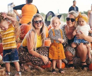 Best Pumpkin Patches Near Orlando for Families Spend a day picking pumpkins with the family at Southern Hill Farms.