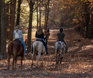  Southern Cross Ranch : Cozy Georgia Winter Trips for Kids