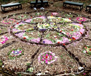 Celebrate spring at the Cora Hartshorn Arboretum on Sunday. Photo courtesy of the arboretum