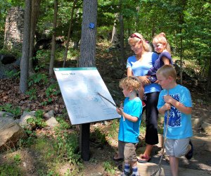 Stamford Museum & Nature Center's campout allows families to fully explore its 118-acre site. Photo courtesy of the nature center
