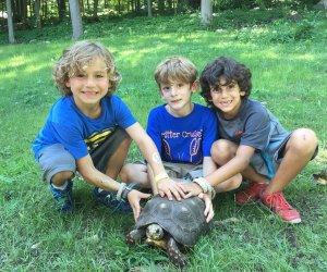 Kids can get up close and personal with nature at the Stamford Museum and Nature Center. Photo courtesy of the center