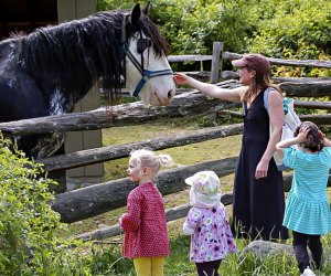 Have some amazing family experiences visiting Stamford with kids! Photo courtesy of the Stamford Arts & Nature Center