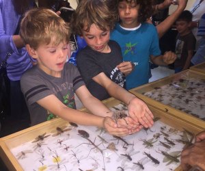 Things To Do in LA this Weekend: Enchanted Crawly Halloween, Boos at Zoos, and P-22 Get hands on with some creepy crawlers at the Enchanted Crawly Hallow's Eve. Photo courtesy of STAR Eco Station