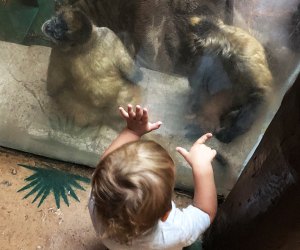 Indoor exhibits let kids get up close with animals in their habitats.