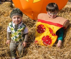 25 Best Events this Fall for Philly Preschoolers and Toddlers Photo of Boo at the Zoo by Stolzman courtesy of Elmwood Park Zoo