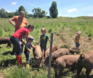 Farm stays near NYC: Stony Creek Farmstead