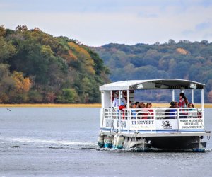 Discovery Wetlands Cruise in Stony Brook