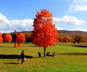 Fall Day Trips for Westchester Families: Foliage, Festivals, Charming Towns The foliage provides a stunning backdrop for the sculptures at Storm King. Photo courtesy of Storm King Art Center