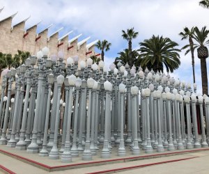 Why You Should Visit LACMA: See Urban Light