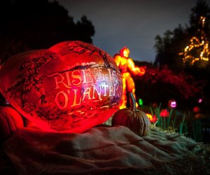 RISE of the Jack O'Lanterns