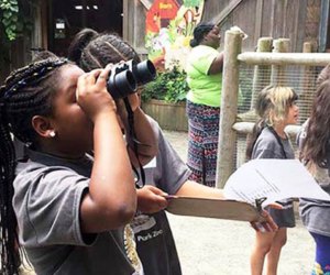 WCS Education has your summer covered with fun, educational camp experiences at our zoos and aquarium! Photo courtesy of WCS 