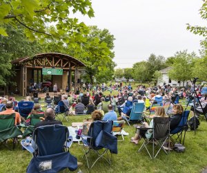 Rock out at Vienna's Summer on the Green Concert Series. Photo courtesy of the event