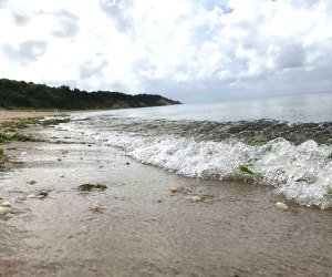 Sunken Meadow State Park