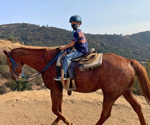 horseback rides are available at stables all over LA