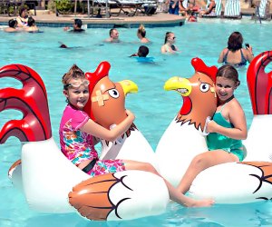 Best Family Pools in Las Vegas for Kids