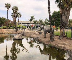 Why You Should Visit LACMA: The Tar Pits!