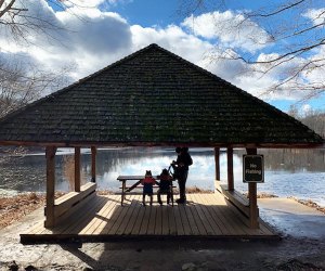 Enjoy a picnic at Teatown Lake Reservation