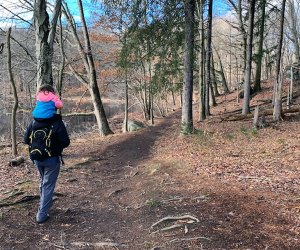 Explore the Likeside Loop at Teatown Lake Reservation