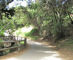 Temescal Gateway Park is filled with rocks and trees and creeks for little hikers to explore.