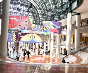 The Winter Garden at Brookfield Place makes a great photo backdrob