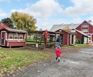 10 Things To Do at Terhune Orchards in Princeton Fill an entire day at Terhune Orchards, where family-friendly fun on the farm abounds.