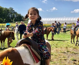 Pony rides are part of the farm fun at Terhune Orchards