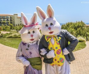 Brunch with the bunny of all bunnies! Photo courtesy of the Terranea Resort