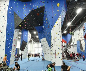 Extreme Sports in Westchester and the Hudson Valley: Gravity Vault