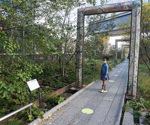 Walk The High Line now that its reopened