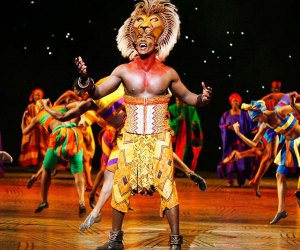 Join the circle of life at The Lion King on Broadway.