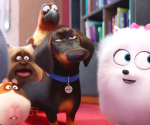 Movies Under the Stars: The Secret Life of Pets (PG)