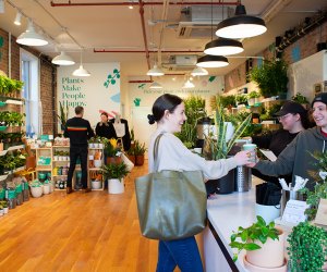 Plants—and coffee, hot cocoa, and more—make people happy at The Sill's new retail location in Park Slope.