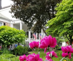 the gardens at the beekman arms and delamater inn