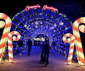 This immersive holiday light show is at King Gillette Ranch in Calabasas through December 30, 2022.