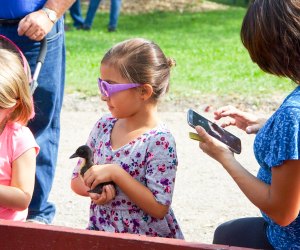 This farm near Chicago has an egg incubation program.