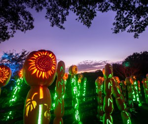 The Great Jack O'Lantern Blaze: Long Island