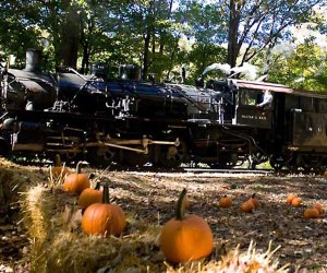 Throughout the month of October, visitors can take The Great Pumpkin Train to pick a pumpkin from the pumpkin patch while enjoying the beautiful scenery. Photo courtesy of the Delaware River Railroad